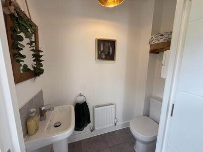 Picture 21